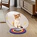Leefasy Cat Bed, Sleeping Nest Space Capsule, Furniture with Blue Base Easy Cleaning Pets Bed for Indoor Cats, Small Pets, 30cmx40cm