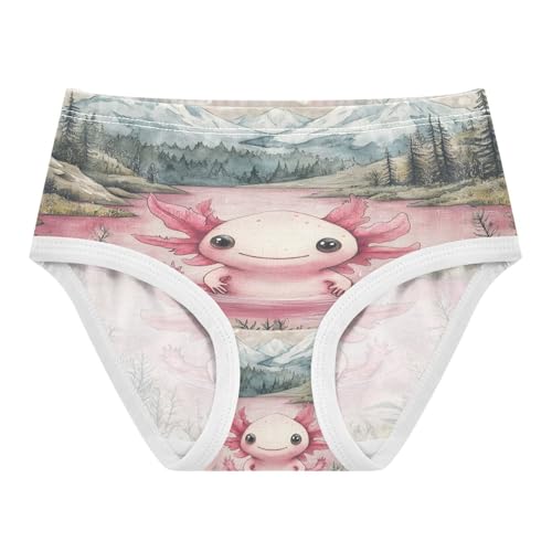 Cute Axolotl Toddler Girls's Underwear 2T 202b8882