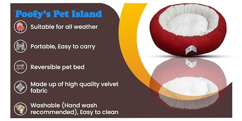 Image of Small Size Dog Bed for Small Size Dogs, Puppies, Kitten and cat Bed Velvet Fabric Dual Color Red-Cream Anti Skid Bottom Washable Export Quality Pet Bed