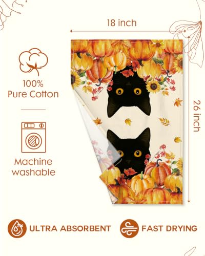 Image of Miss Adola 150GSM Flour Sack Kitchen Towels Set of 2, Cat in Pumpkins