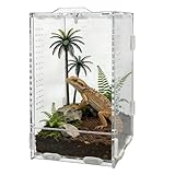 KOUHA Terrario in Acrilico Scatola per Rettili con Pinzette | 360° Trasparente Staccabile Mini Terrario per Mantide Religiosa Ragni Lucertole Lumache 20 x 12 x 11cm