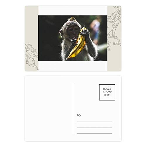 Singe pour les animaux terrestres carte postale fleur pour écrire vos remerciements au quotidien