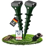 elezenioc maulwurfschreck