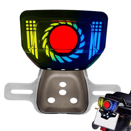 Luces traseras LED para motocicleta con señales de freno universal
