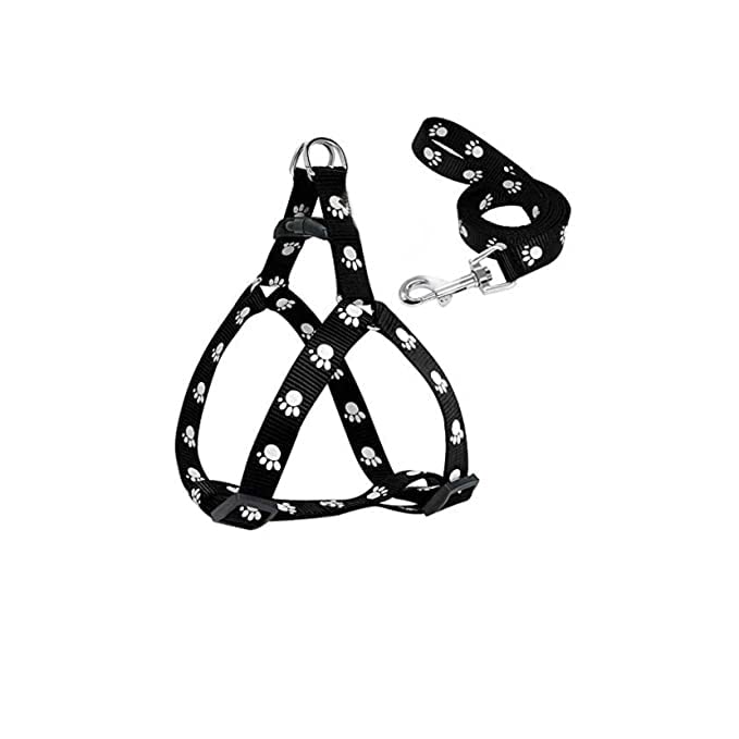 RvPaws Pet Combo Puppy Paw Print Harness Leash Set for Small Dog and Puppies (Black) (B0BMM6QK9M) Amazon Price History, Amazon Price Tracker