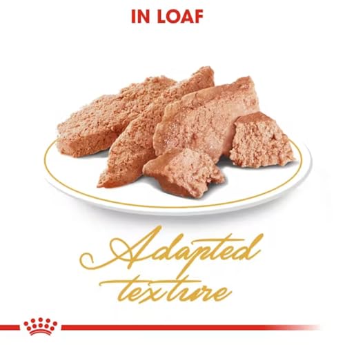 Image of Royal Canin Persian Kitten Food, 85 Grams, Pack of 12, Wet Food, Supports Healthy Growth & Long Hair, Digestive Health, and Urinary Health