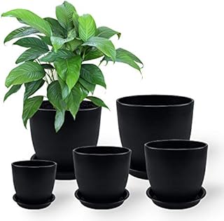 5 Pcs Plastic Plant Pots 11/14/15/18/19 cm Flower Nursery Pot Indoor Modern Decoration Plant Pots Perfect for Indoor and Outdoor with Drainage Hole and Tray for All Plants (Black)