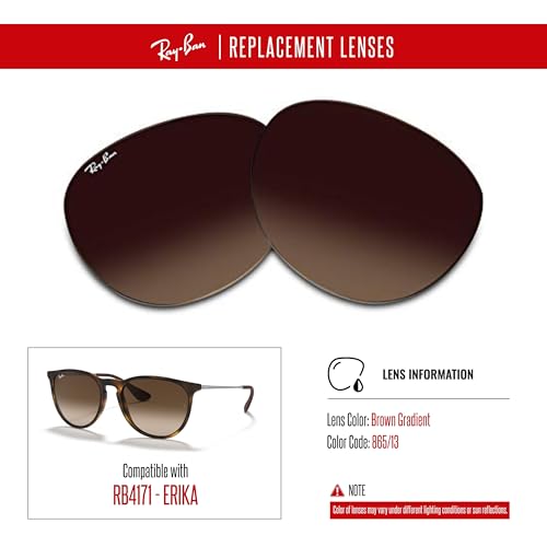 Ray-Ban Original RB4171 ERIKA Replacement Lenses For Women+BUNDLE with ACCESSORY EYEWEAR KIT3