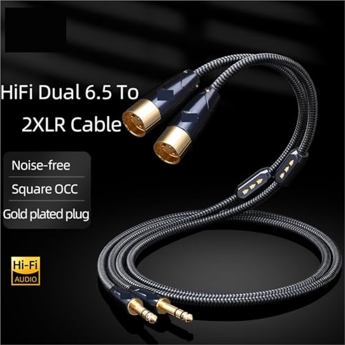 Câble 6,35 mm vers XLR mâle double pour table de mixage et micro