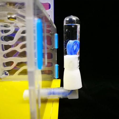 Pongnas CASA Mania DE Nido DE Hormigas con DISEÑO EN T DE ACRÍLICO para LOS Amantes DE LOS Insectos (Yellow)