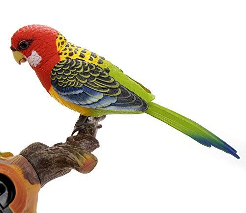 Powertrc Chirping & Dancing Bird With Noise Sensor, Sound Activated Chirping Bird #TOP3