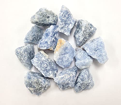 MINERALUNIVERSE 1/2 LB Blue Calcite Rough Stones - Bulk Blue Calcite Crystal - Raw Natural Stones & Crystals - Fountain Rocks for Tumbling Polishing Wire Wrapping Reiki Chakra Crystal Healing