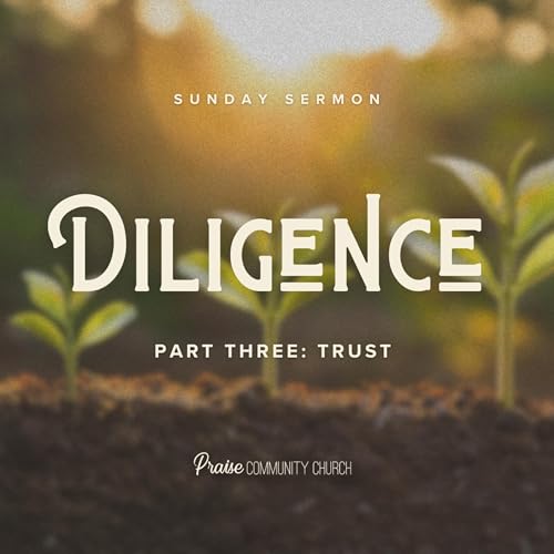 Diligence Part 3: Trust