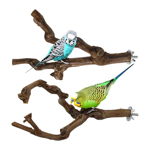 Dimensioni e quantità: il set include 2 posatoi in legno d'uva naturale di varie forme. Ognuno misura circa 15 cm di lunghezza. Quantità sufficiente a soddisfare le esigenze del tuo animale domestico per diversi tipi di gabbie.