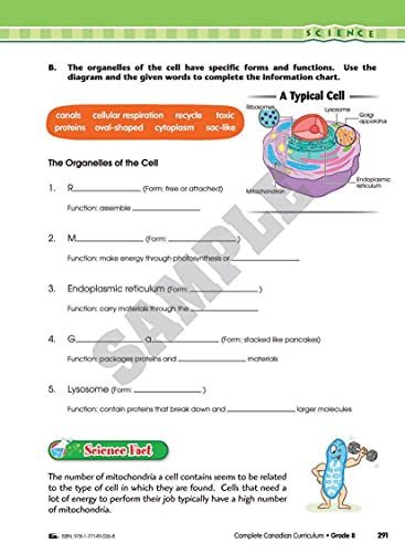 Complete Canadian Curriculum 8 (Revised & Updated): A Grade 8 integrated workbook covering Math, English, History, Geography, and Science - Image 9