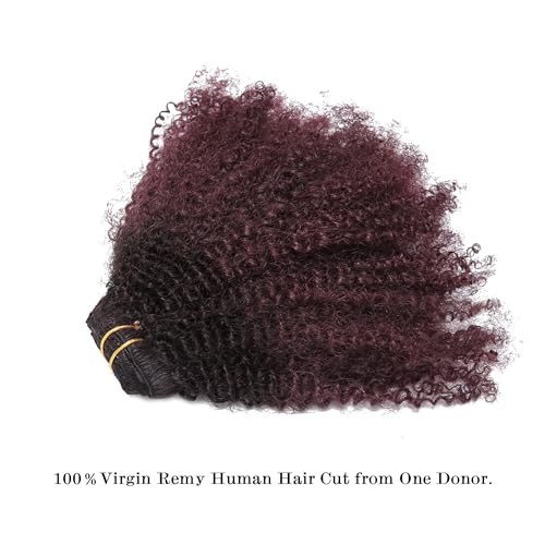 Lacer Hair Ombre Remy Clip in Human Hair Extensions Afro Kinky Curly Clip ins 4B 4C Natural Black Real Hair Extensions Two Tone T#1B/99J Burgandy Wine Red Full Head,16 inch T#1B/99J