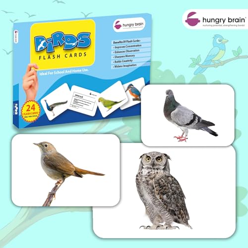 Image of hungry brain Flash Cards for Toddlers, 24 Birds Flashcards, Double-Sided, Montessori, Educational, Kindergarten - Preschool Learning Activities, Gifts for Kids, 1, 2, 3, 4 Years Babies