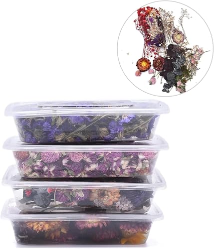 1 caja de flores secas para decoración y manualidades miniatura 6