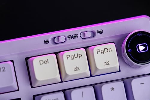 EPOMAKER RT100 97 Keys Gasket BT5.0/2.4G/USB-C Mechanical Keyboard