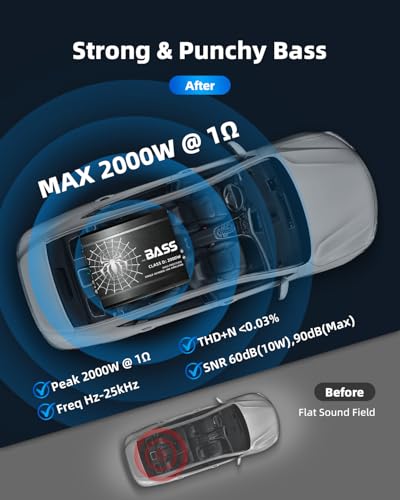 TANVSO 2000W Monoblock Amplifier