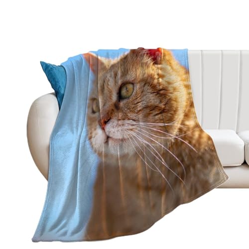 Couverture polaire chat orange pour vos soirées cocooning sur le canapé - 2