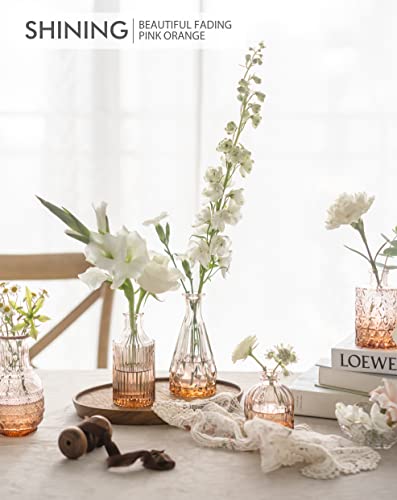 Mejores review On-line Decoración con floreros terraza los más recomendados. 12 Imagen adicional