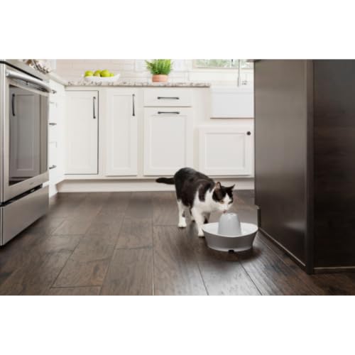 Fuente de cerámica para gatos PetSafe StreamSide con el depósito y el filtro desmontados para limpiar