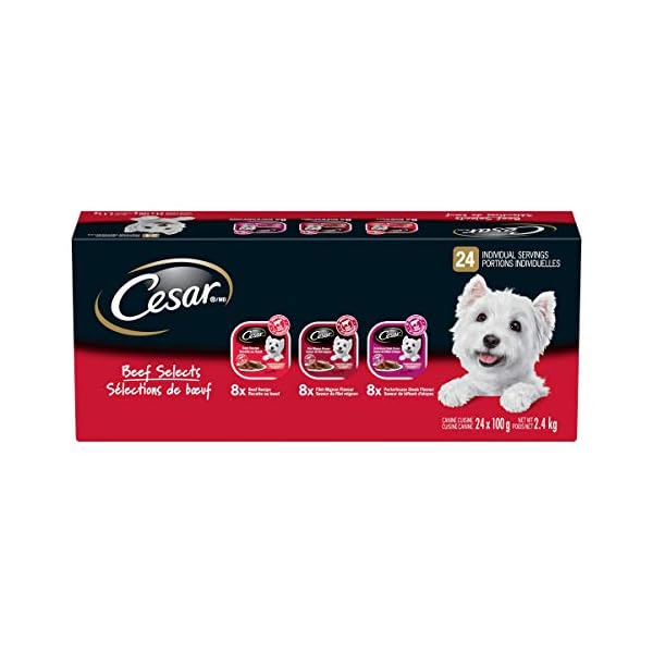 CESAR Classic Loaf in Sauce Wet Dog Food Beef Selects Variety Pack, 24x100g Trays CESAR Classic Loaf in Sauce Wet Dog Food Beef Selects Variety Pack, 24x100g Trays