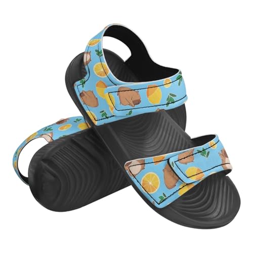 Kids Capybara Sandals Open Toe Water Shoes US 5 Boys and Girls Athletic Outdoor Sport Sandals Quick Dry Summer Shoes3