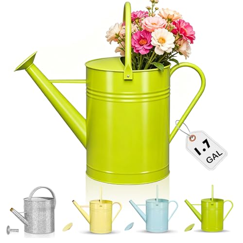 Arrosoir galvanisé pour plantes d'intérieur et d'extérieur – 5 litres – Arrosoir décoratif de style campagne avec bec amovible, arrosoir en métal...