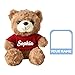 Duckbe Personalized Teddy Bear Stuffed Animal with Embroidered Name, Custom Bear Plush Toy for Baby Toddler, Birthday Gift for Kids Boys Girls, 12 Colors(8.66inche Without icon)