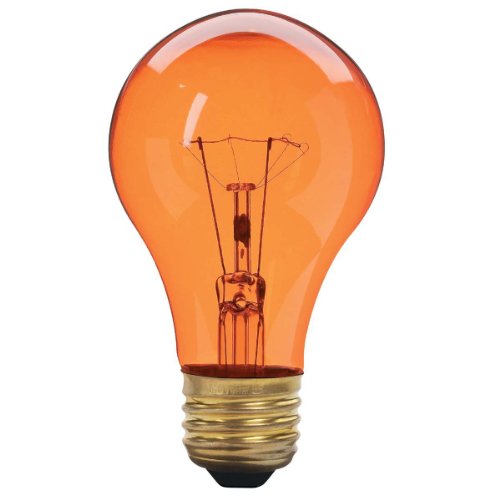 25 Watt A19 Transparent Amber Light Bulb