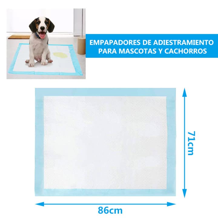 DZL- Empapadores de adiestramiento para Perros Almohadillas de Entrenamiento Almohadillas de Entrenamiento para Cachorros Súper Absorbentes (XL 71 * 86-60PC)