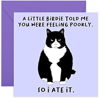 Central 23 - Funny Get Well Soon Card for Her - 'A Little Birdie...Feeling Poorly' - Cheeky Get Well Soon Card for Him - Cat Design - Comes with Fun Stickers