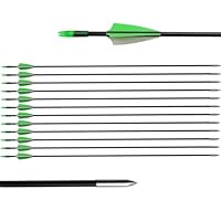 biubiusot 12er Pfeile für Bogenschießen 31 Zoll Bogenpfeile Jagdpfeile Pfeile Übungspfeile Fiberglaspfeile für Anfänger Pfeil und Bogen Zielübung (grün)