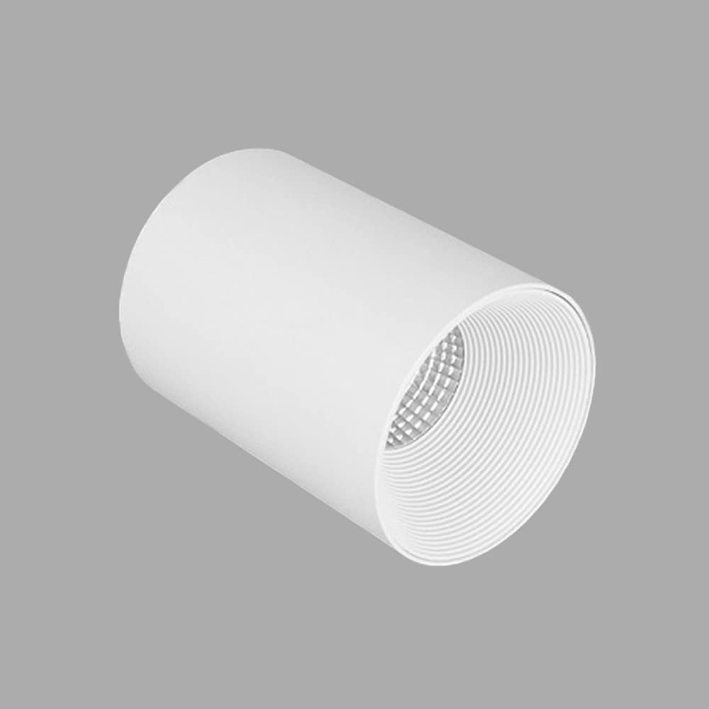 Spot De Plafond Moderne en Saillie, Lampe Cylindrique, Spot Directionnel 10 W, en Aluminium, pour Couloir, Cuisine, Salon, Galerie/6000（3000K-12W）