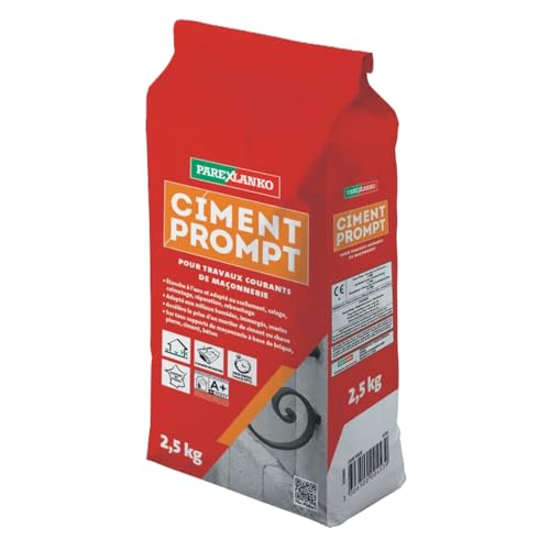 Parexlanko - Ciment Prompt - Gris - Confection de mortier à prise rapide - Tous supports de maçonnerie - Adapté en milieux humide et marin - 2,5kg