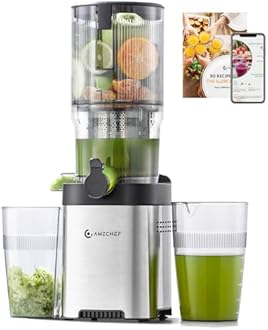 AMZCHEF Cold Press Juicer, 5.4" Juicer Machines with Large Feed Chute for Whole Fruits & Vegetables, Stainless Steel Juice Extractor with Large Auger, Triple Strainers, Easy Cleanup & Assembly