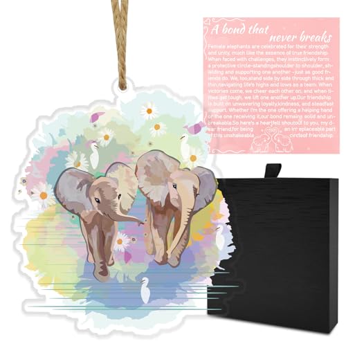 Image of Lukasuo Friendship Elephant Gifts for Women,Best Friend Birthday Gifts with Story Card,Rear View Mirror Accessories,Acrylic Decor (Two Colored Elephants)
