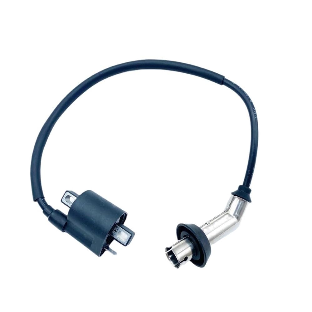 Bobina de encendido contra fallos de motor en quads BS200S-7 y BS250 de 250 CC
