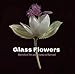 Glass Flowers: Marvels of Art and Science at Harvard