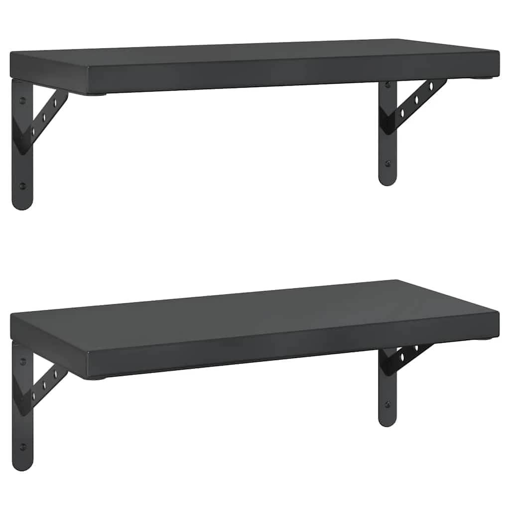 vidaXL Estantes de Pared 2 uds Acero Inoxidable Negro 50x23,5 cm, Estante Flotante, Estante Flotante de Pared, Estante de Cuarto de Servicio