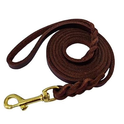 LWBMG Leather Dog Leash for Small Dogs 6ft,Thin Leather Braied Dog Leash, Soft Genuine Leather Dog Training Leash for Small & Medium Dogs (3/8" X 6', Brown)