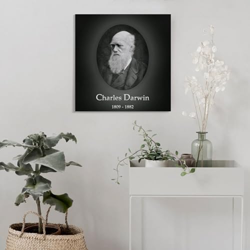 Toile Charles Darwin déco salon style cabinet de curiosités