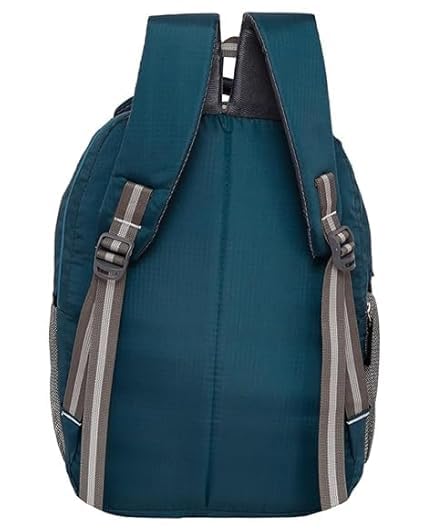 Image of Polyester kids Primary School Backpack, 30 Litres, Cartoon Print, for Tuition, Nursery to 5th Standard Boys and Girls Lightweight cartoon Bag