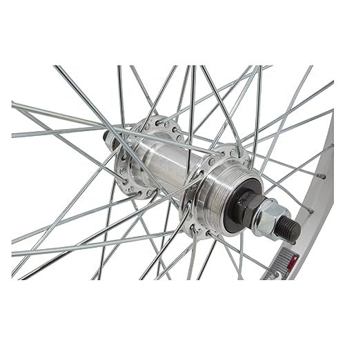 WheelMaster Rear Bicycle Wheel 20 x 1.75 36H, 3/8