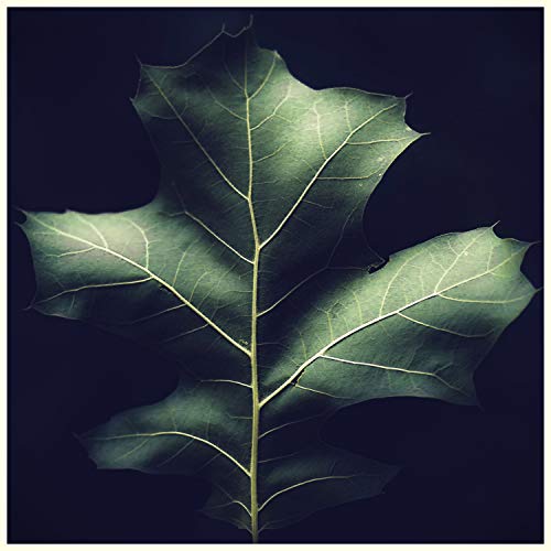 Oasis de Détente et Relaxation, Relaxation Détente & Zen ambiance d'eau calme