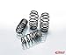 Eibach PRO-KIT Performance Springs (Set of 4 Springs)
