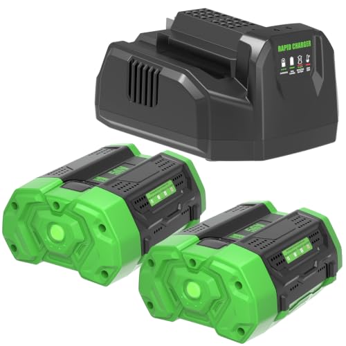 Image of 2Pack 56V Battery 5Ah and a Charger CH2100 Replacement for EGO 56V | Compatible with EGO Battery 56Volt Cordless Tools