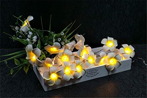 Floristlighting LED Flowers String Lights Garland String Lights (Hawaiian Luau)